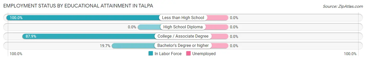 Employment Status by Educational Attainment in Talpa