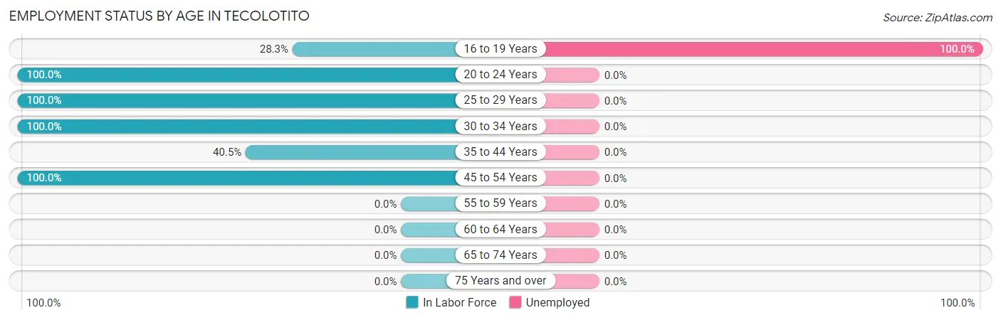 Employment Status by Age in Tecolotito