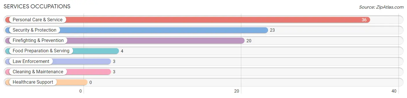 Services Occupations in Tesuque Pueblo