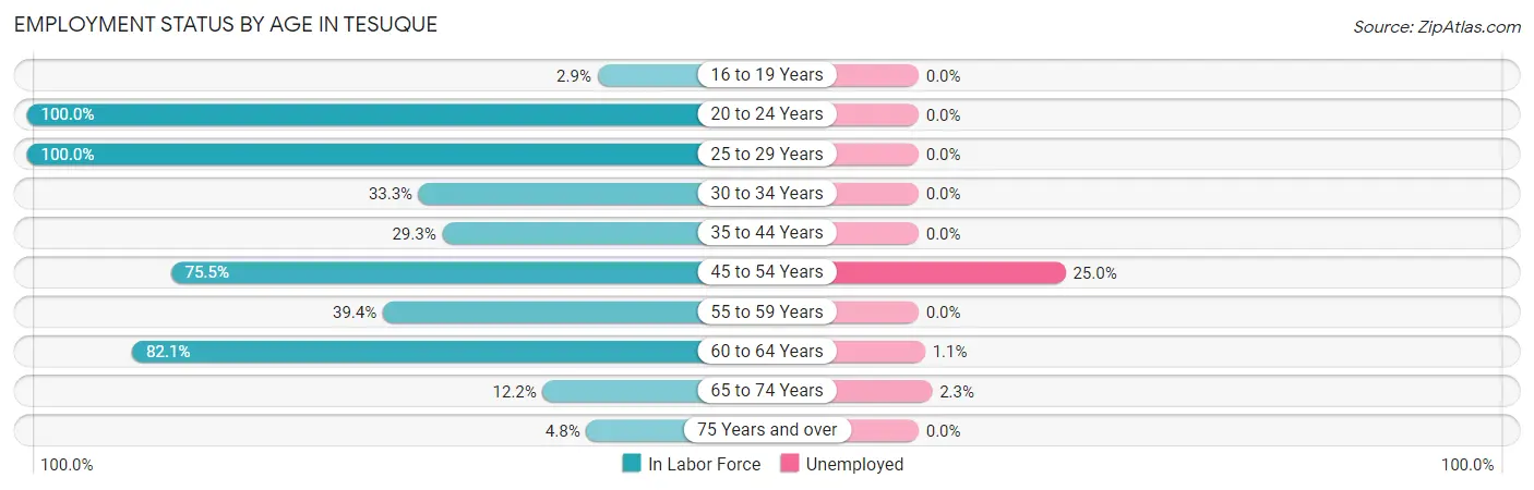 Employment Status by Age in Tesuque