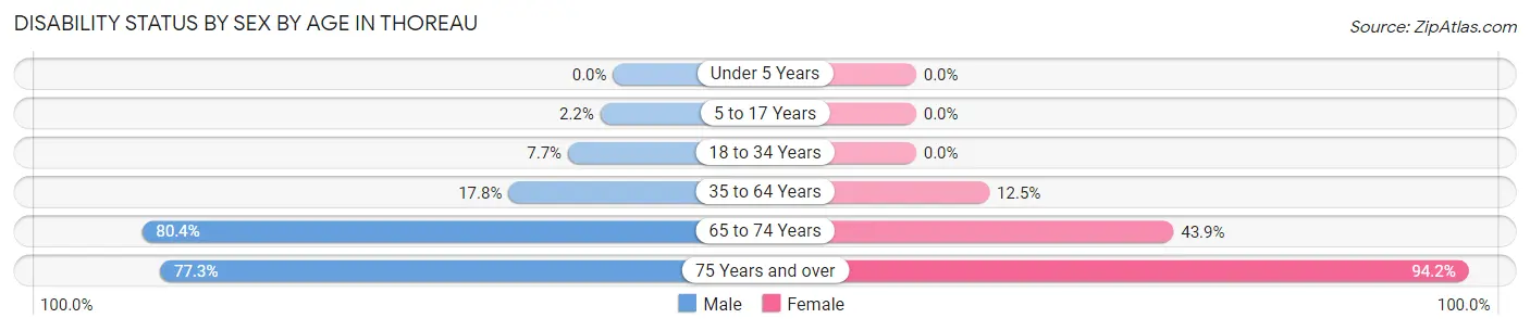 Disability Status by Sex by Age in Thoreau
