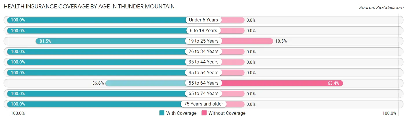 Health Insurance Coverage by Age in Thunder Mountain