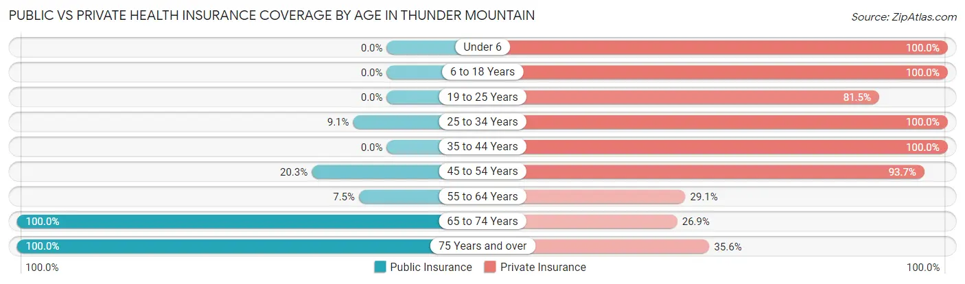 Public vs Private Health Insurance Coverage by Age in Thunder Mountain