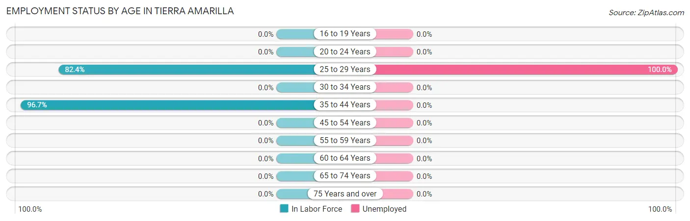 Employment Status by Age in Tierra Amarilla