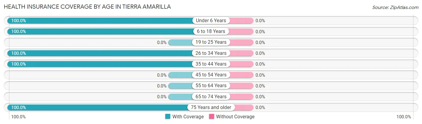 Health Insurance Coverage by Age in Tierra Amarilla