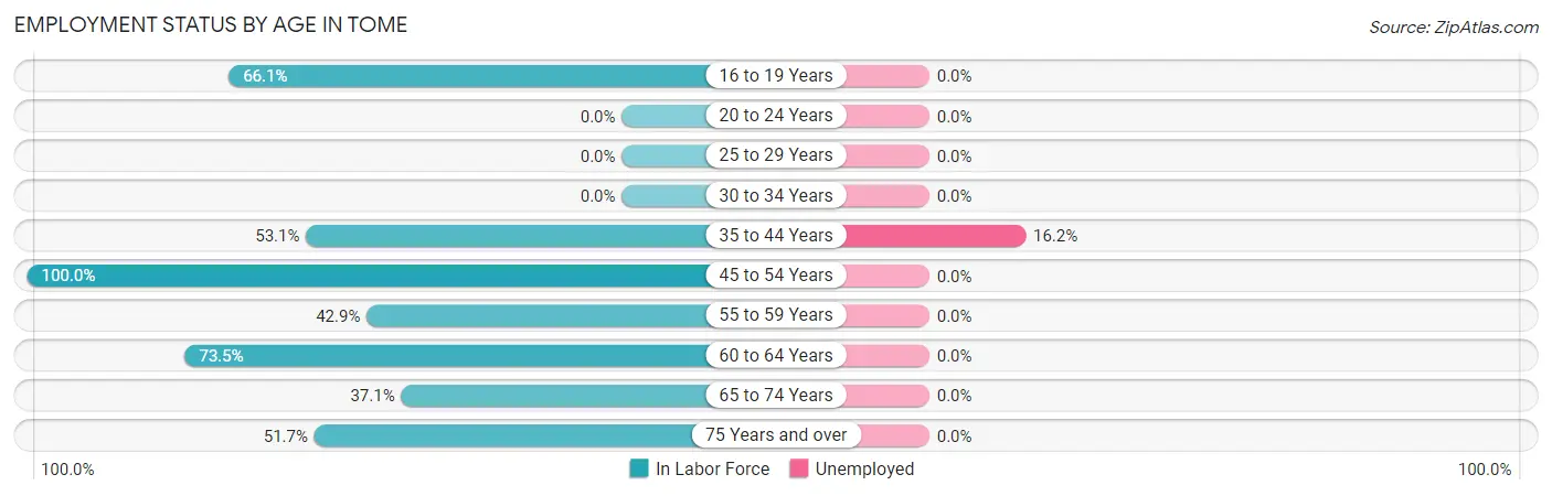 Employment Status by Age in Tome