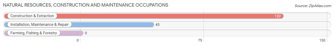 Natural Resources, Construction and Maintenance Occupations in Tome