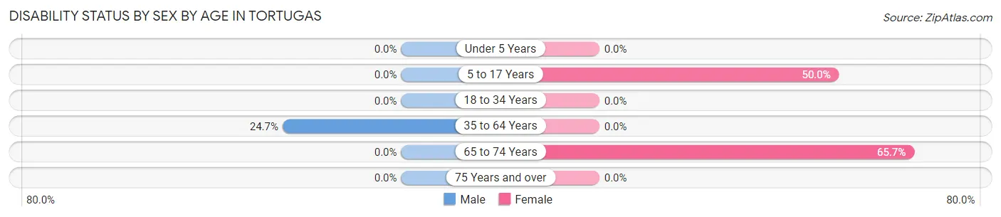 Disability Status by Sex by Age in Tortugas