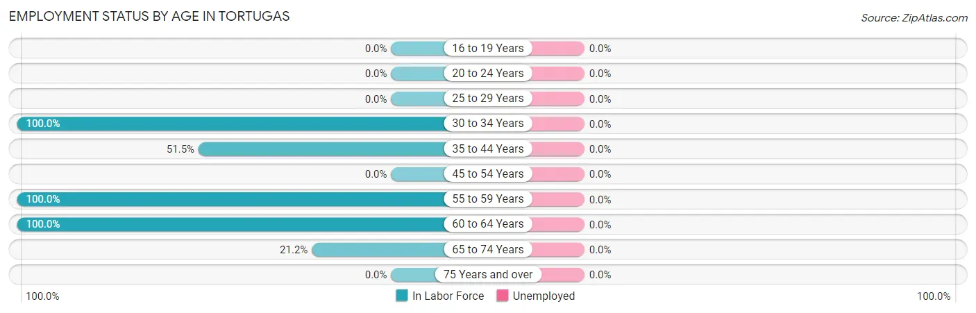 Employment Status by Age in Tortugas