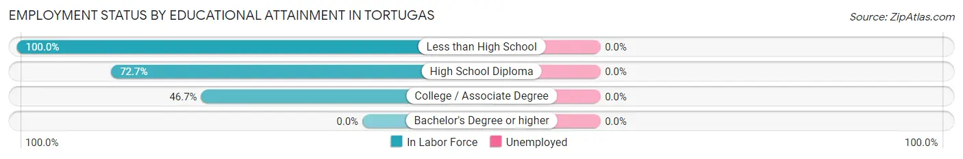 Employment Status by Educational Attainment in Tortugas