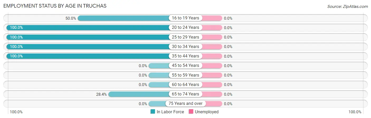 Employment Status by Age in Truchas