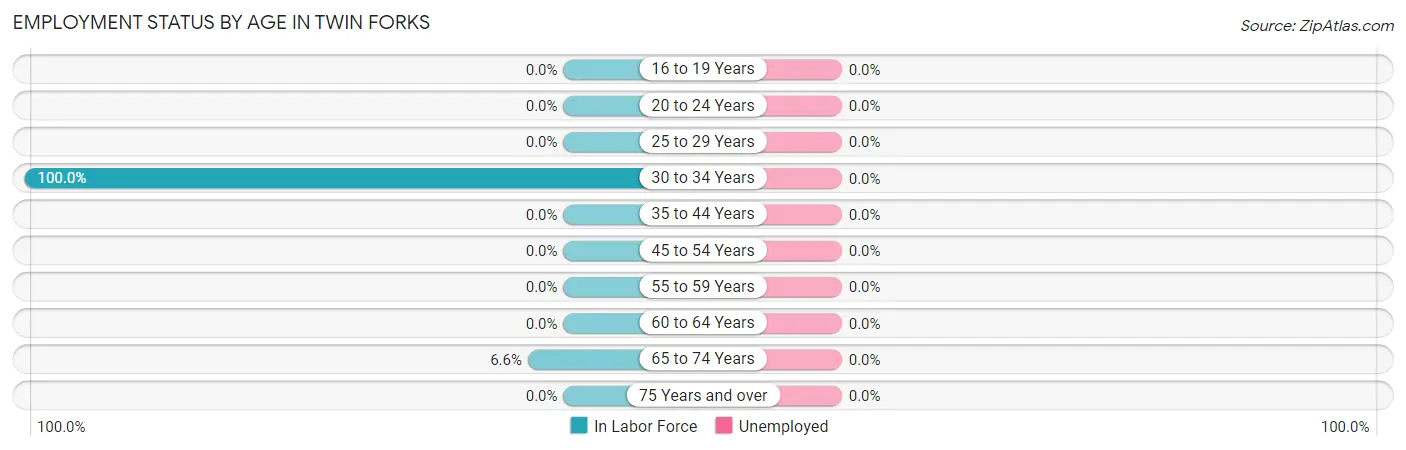 Employment Status by Age in Twin Forks