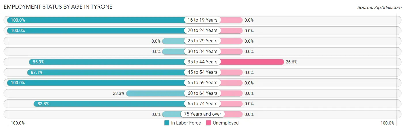 Employment Status by Age in Tyrone