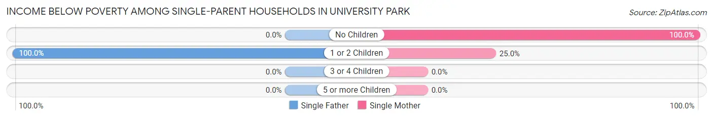 Income Below Poverty Among Single-Parent Households in University Park