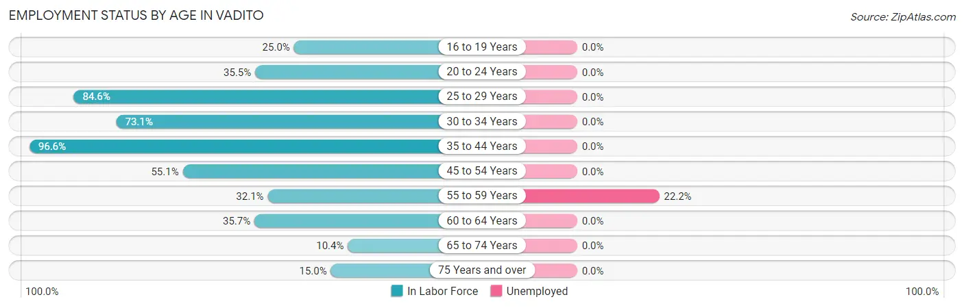 Employment Status by Age in Vadito
