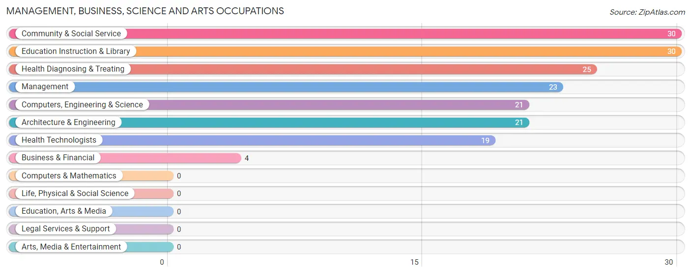 Management, Business, Science and Arts Occupations in Vado