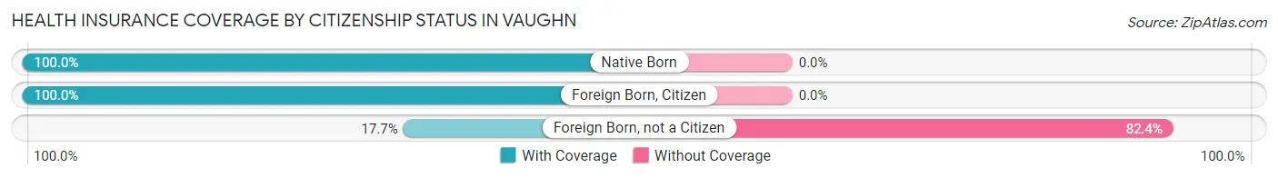 Health Insurance Coverage by Citizenship Status in Vaughn