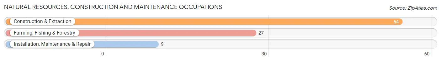 Natural Resources, Construction and Maintenance Occupations in White Cliffs