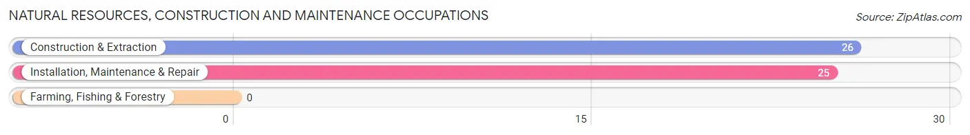 Natural Resources, Construction and Maintenance Occupations in White Rock