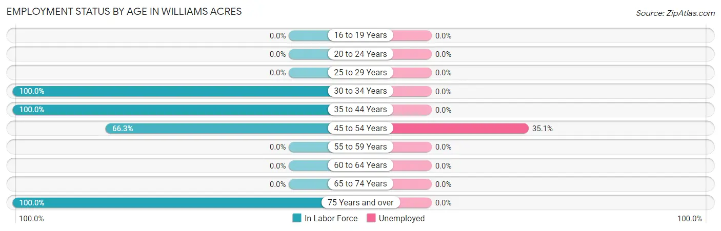 Employment Status by Age in Williams Acres