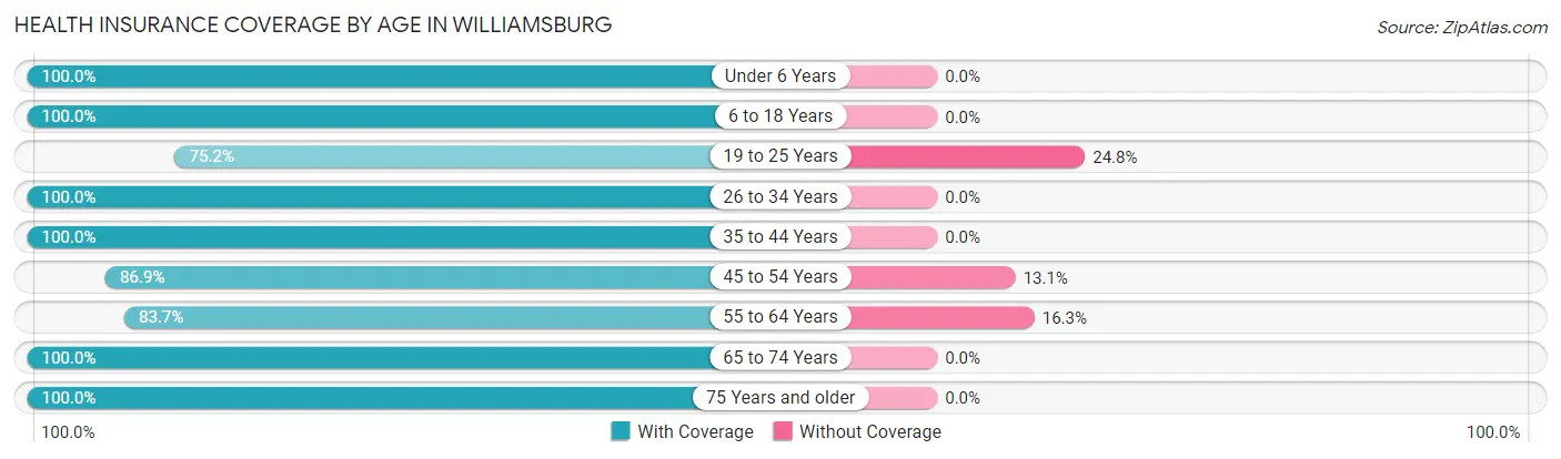 Health Insurance Coverage by Age in Williamsburg