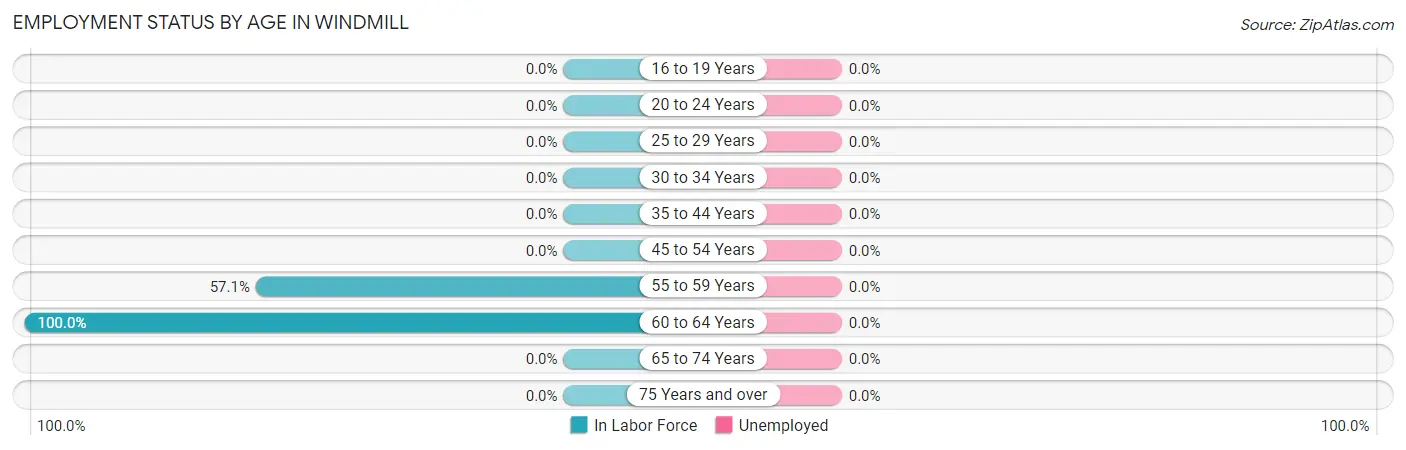 Employment Status by Age in Windmill