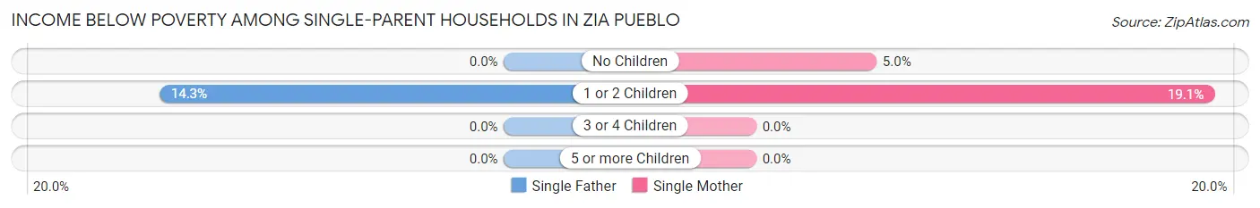 Income Below Poverty Among Single-Parent Households in Zia Pueblo