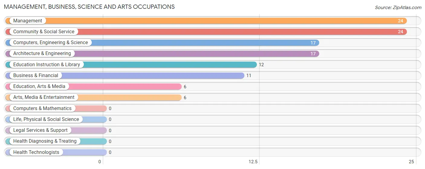 Management, Business, Science and Arts Occupations in Blue Diamond