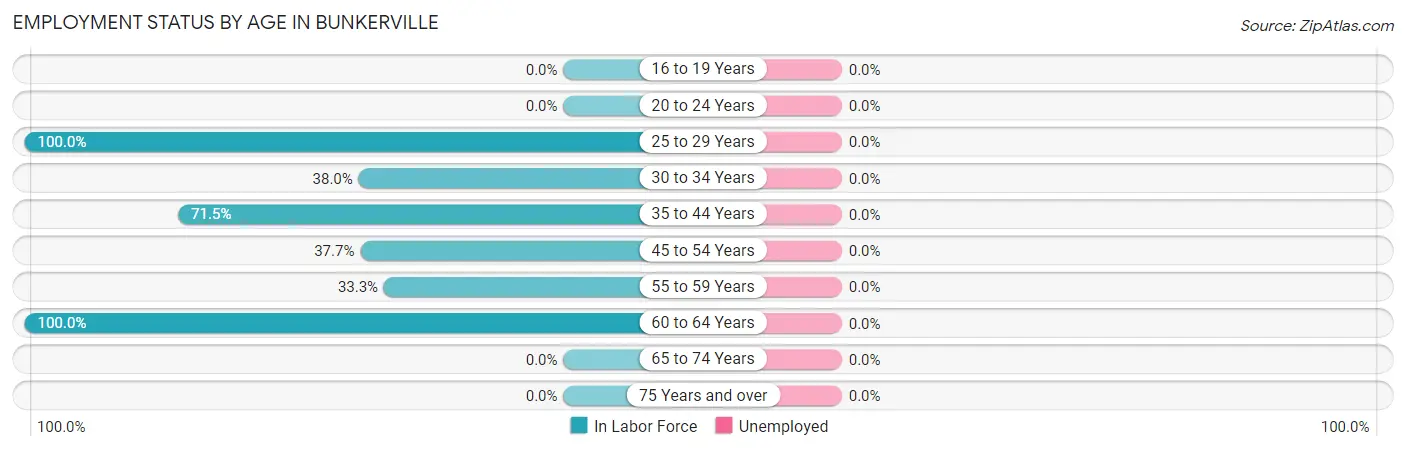 Employment Status by Age in Bunkerville