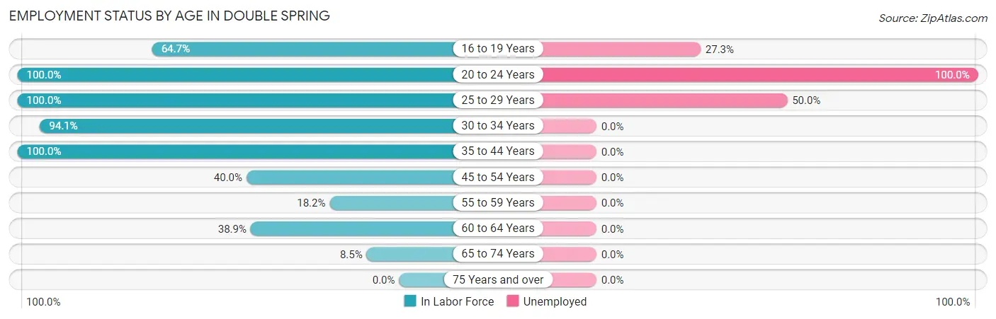 Employment Status by Age in Double Spring