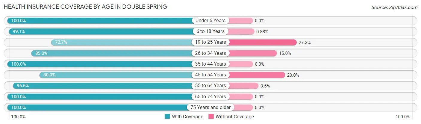 Health Insurance Coverage by Age in Double Spring