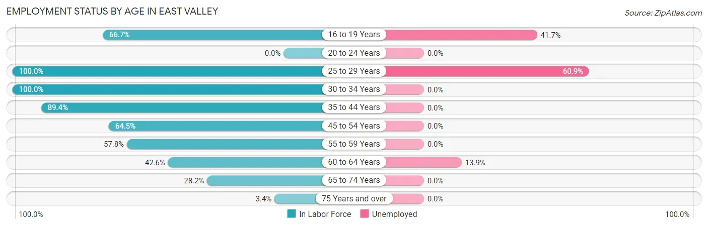 Employment Status by Age in East Valley