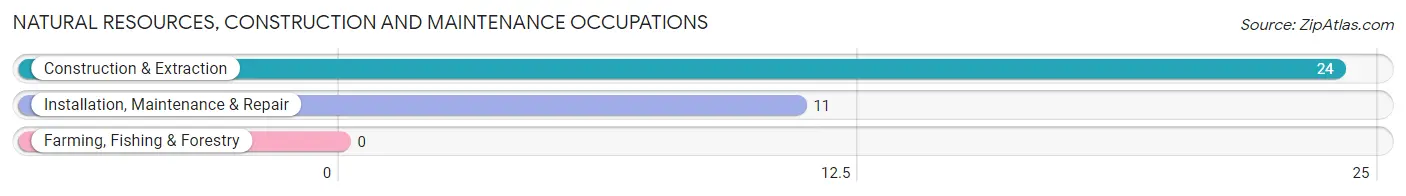 Natural Resources, Construction and Maintenance Occupations in East Valley