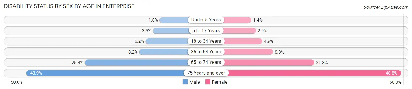 Disability Status by Sex by Age in Enterprise