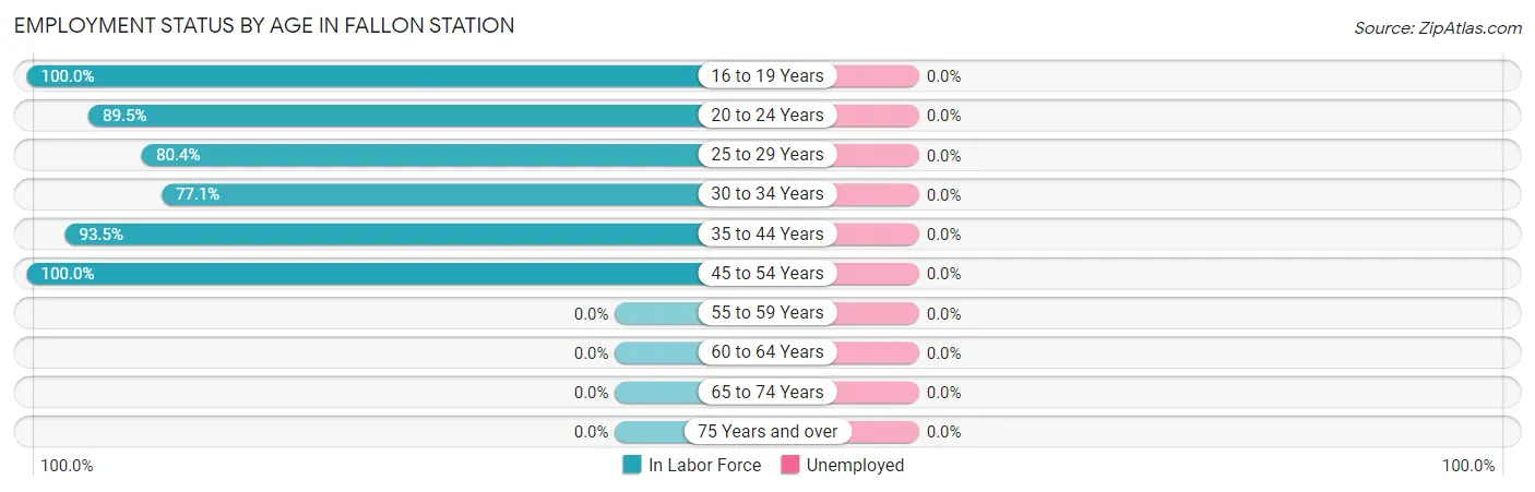 Employment Status by Age in Fallon Station