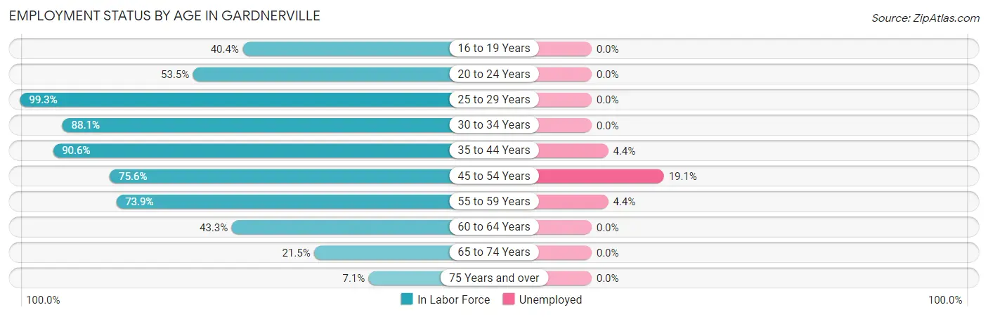 Employment Status by Age in Gardnerville