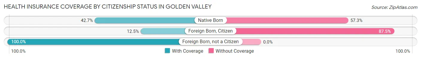 Health Insurance Coverage by Citizenship Status in Golden Valley