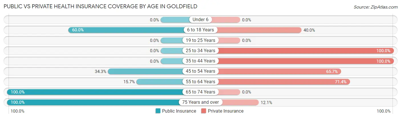 Public vs Private Health Insurance Coverage by Age in Goldfield