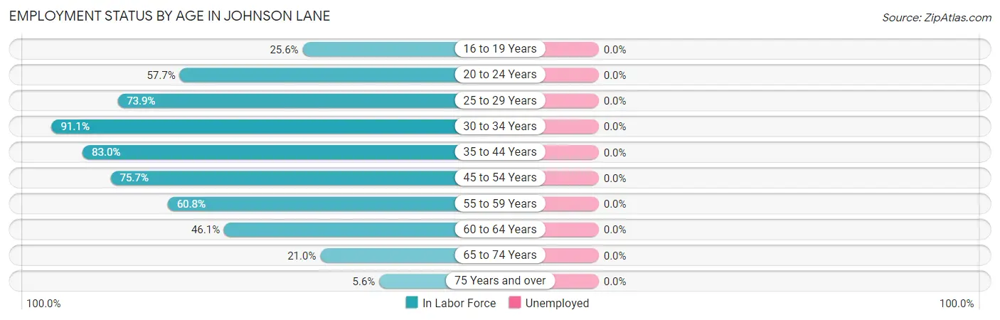 Employment Status by Age in Johnson Lane