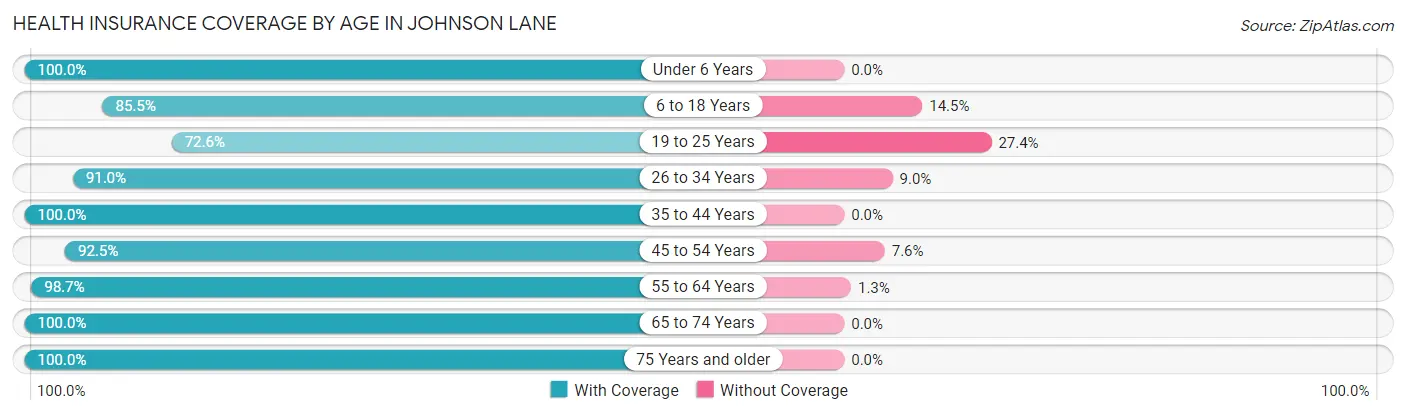 Health Insurance Coverage by Age in Johnson Lane