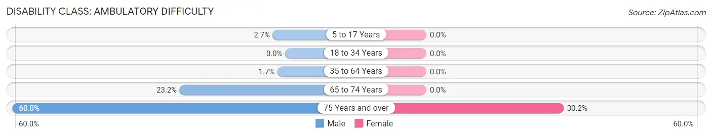 Disability in Lemmon Valley: <span>Ambulatory Difficulty</span>