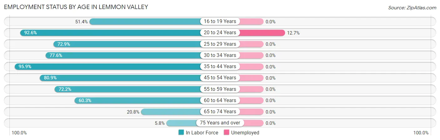Employment Status by Age in Lemmon Valley