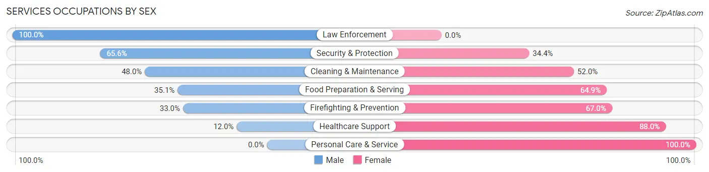 Services Occupations by Sex in Lemmon Valley