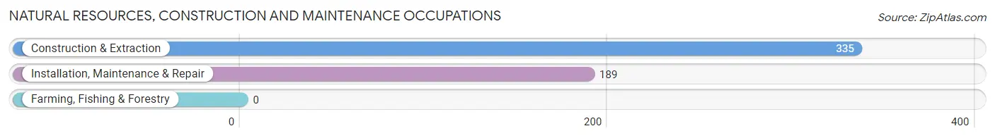 Natural Resources, Construction and Maintenance Occupations in Mesquite