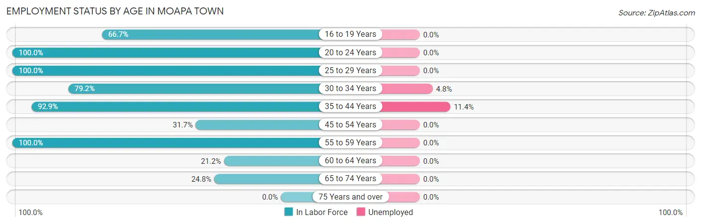 Employment Status by Age in Moapa Town