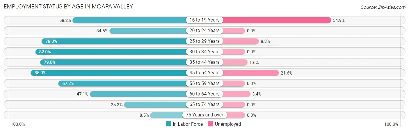 Employment Status by Age in Moapa Valley