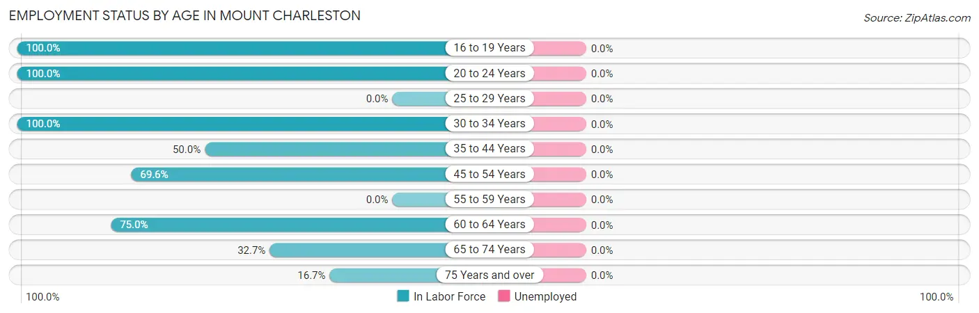 Employment Status by Age in Mount Charleston