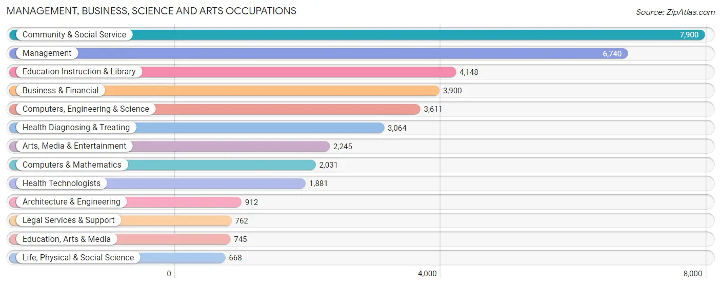 Management, Business, Science and Arts Occupations in Paradise