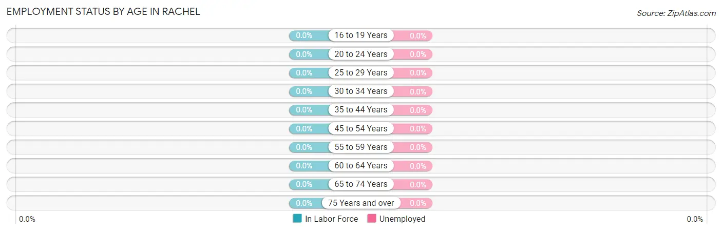 Employment Status by Age in Rachel