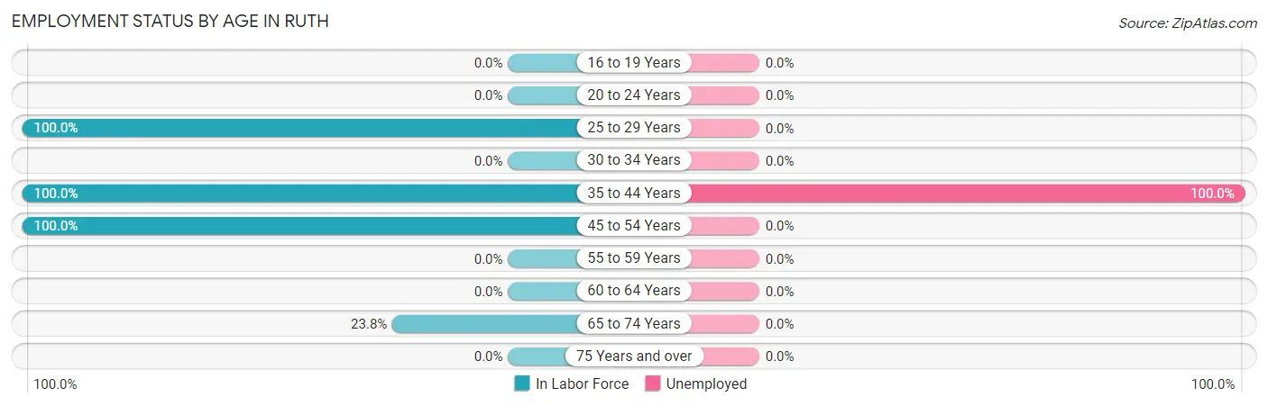 Employment Status by Age in Ruth